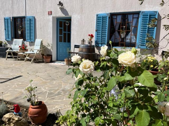 Istrian House Mojca Villa Koper Bagian luar foto